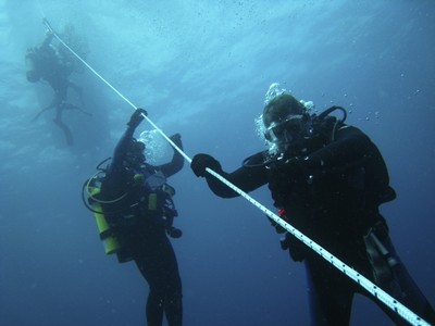 Giluminio nardymo kursai (Deep diver) 